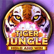 Các loại hình cá cược và trò chơi tại FB68 Win